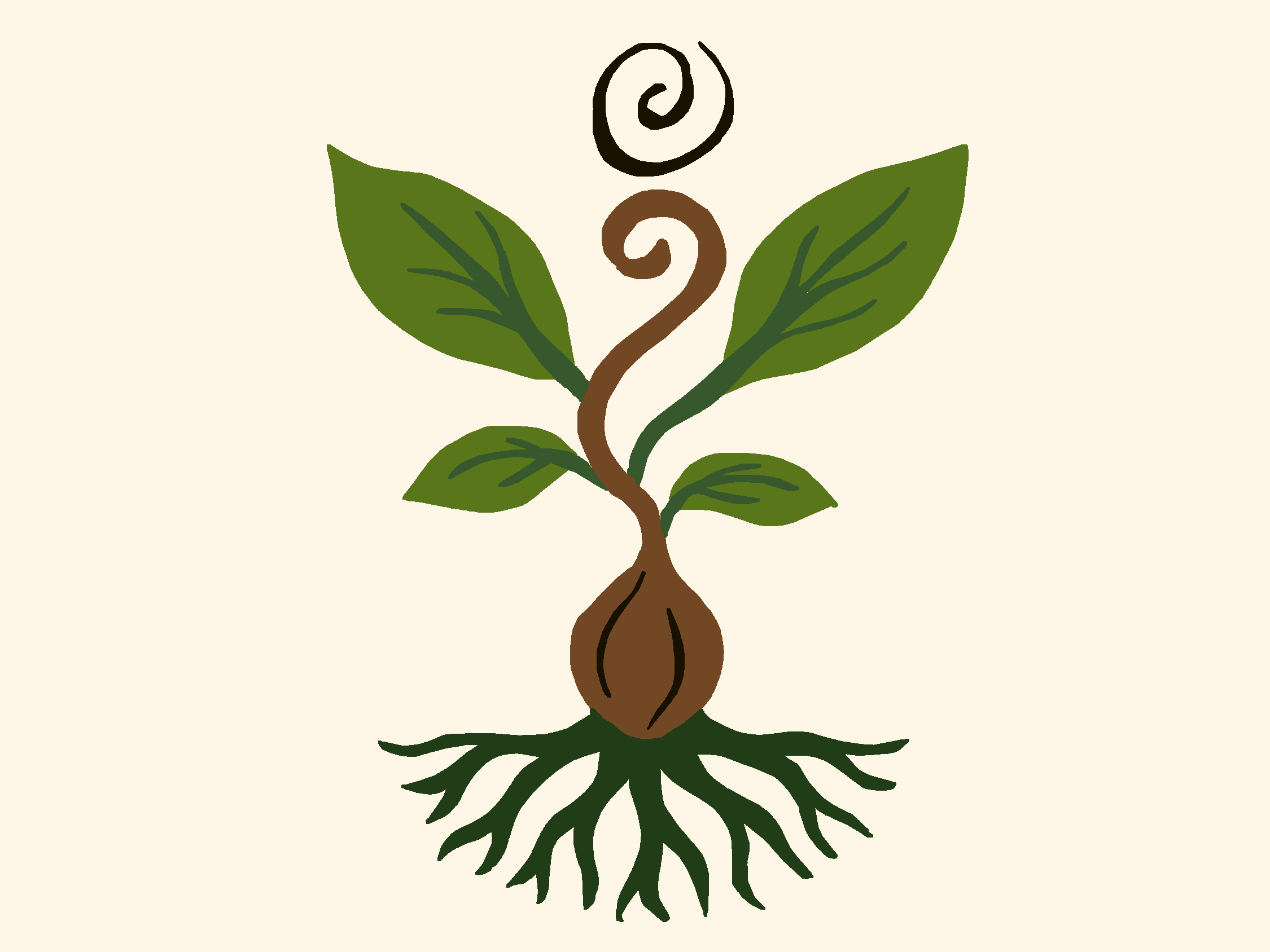 Material Back Root Sample Materials – Rooted Teaching